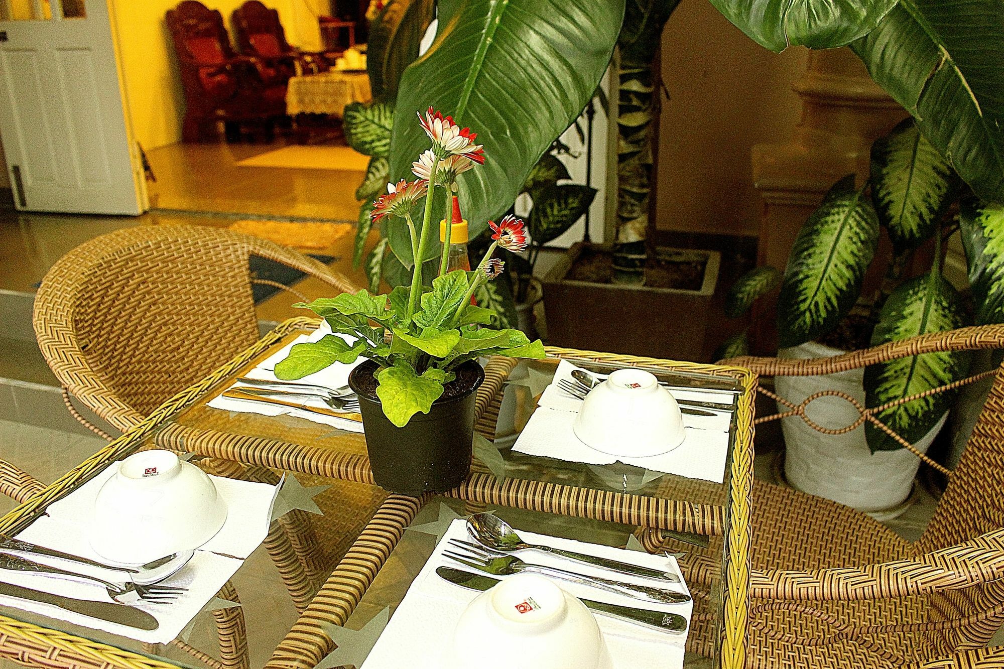 Quy Long Homestay Hoi An Eksteriør billede